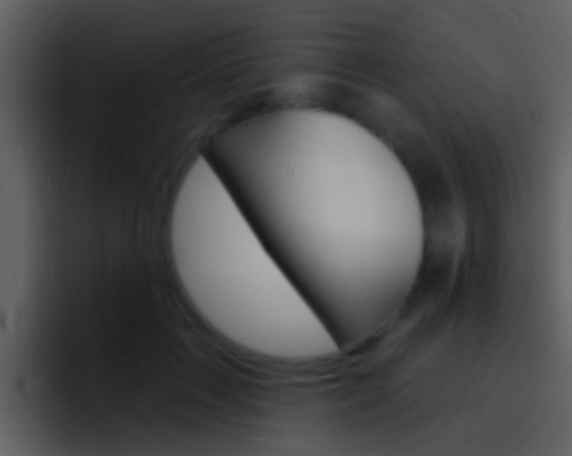 X0000096990603200802080921