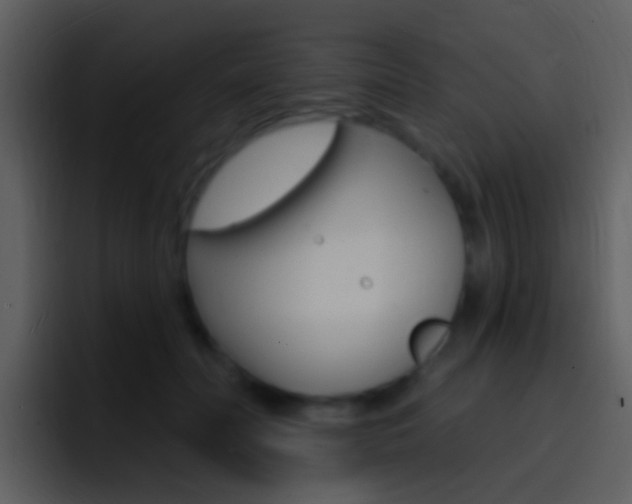 X0000096990606200802080921