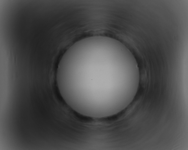 X0000096990608200802080921