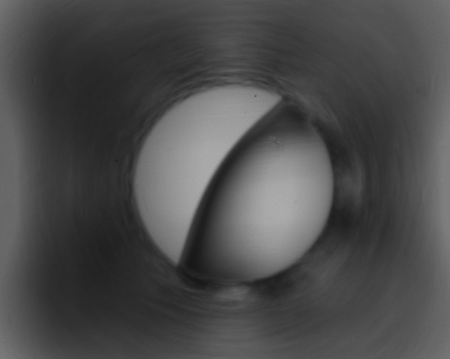 X0000096990609200802080921
