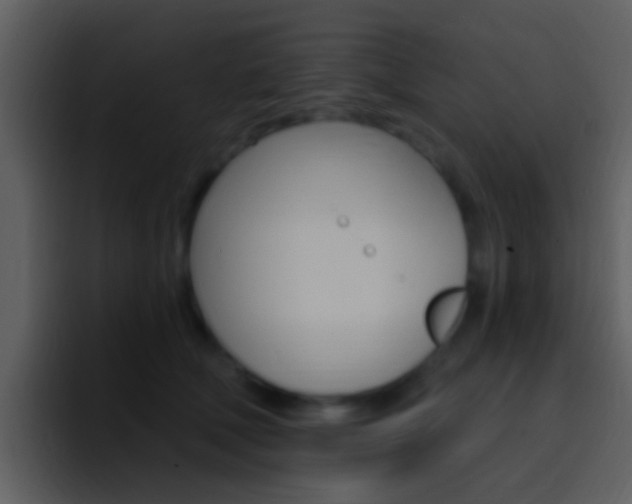 X0000096990610200802080921