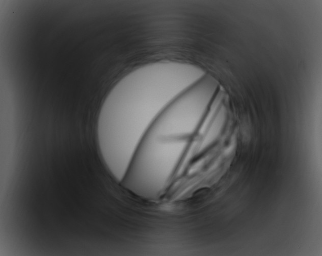X0000096990611200802080921
