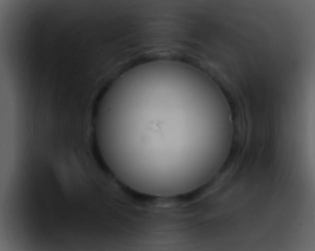 X0000096990612200802080921