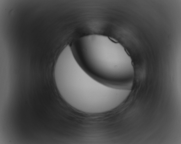 X0000096990613200802080921