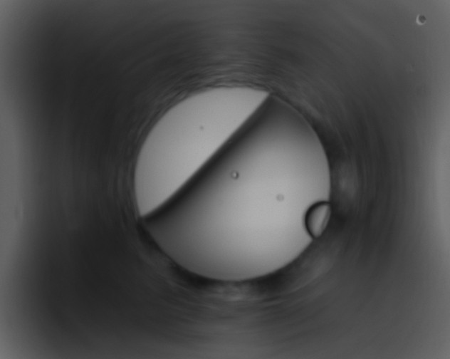 X0000096990615200802080921