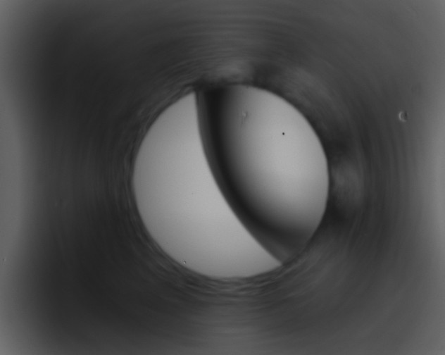 X0000096990617200802080921
