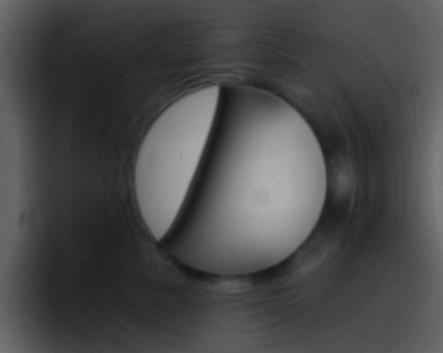 X0000096990619200802080921