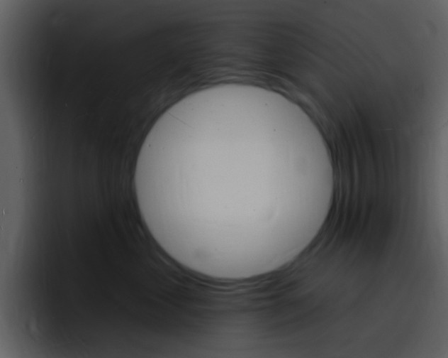 X0000096990621200802080920