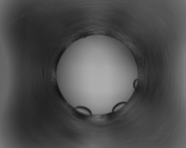 X0000096990622200802080920