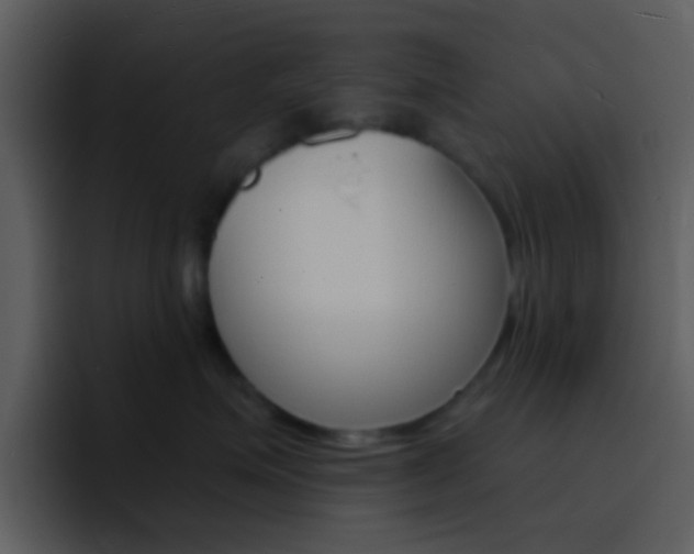X0000096990623200802080920