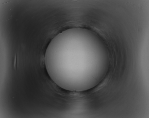X0000096990624200802080920