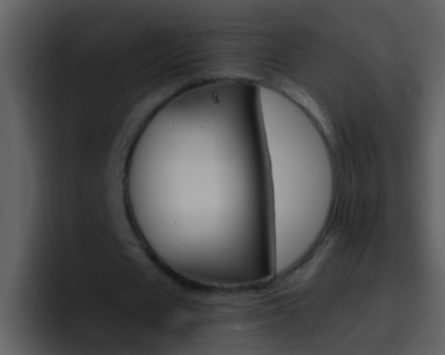 X0000096990625200802080920