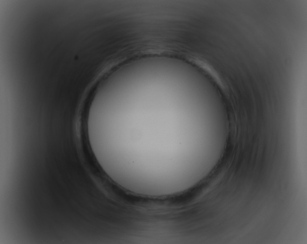 X0000096990626200802080920