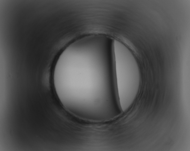 X0000096990627200802080920