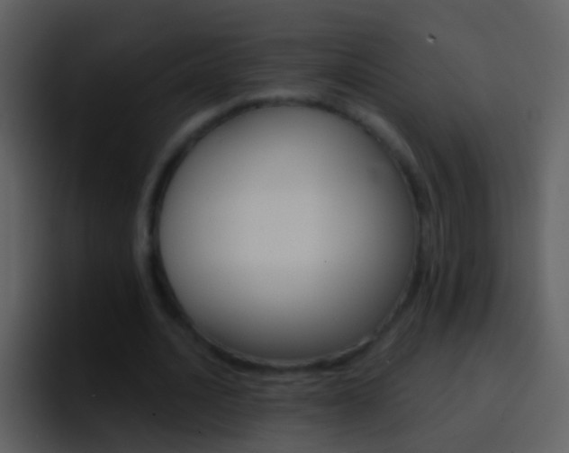 X0000096990628200802080920