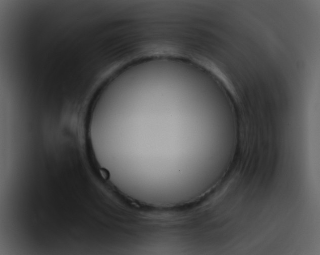 X0000096990629200802080920