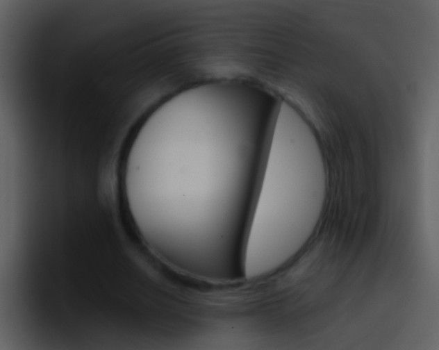 X0000096990630200802080920