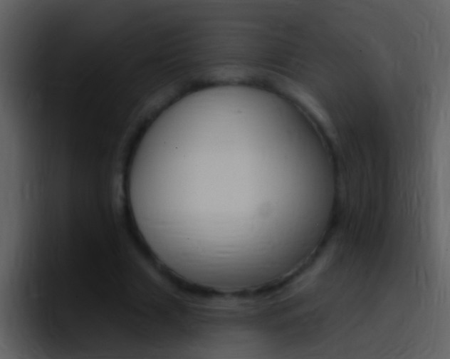 X0000096990633200802080920