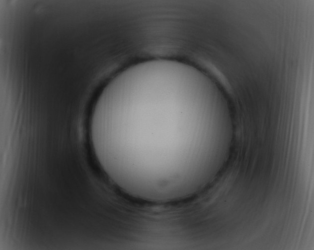 X0000096990635200802080920
