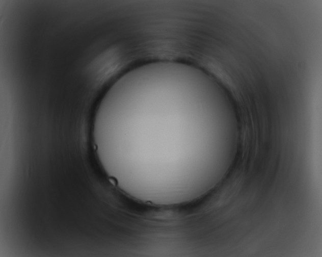 X0000096990639200802080920
