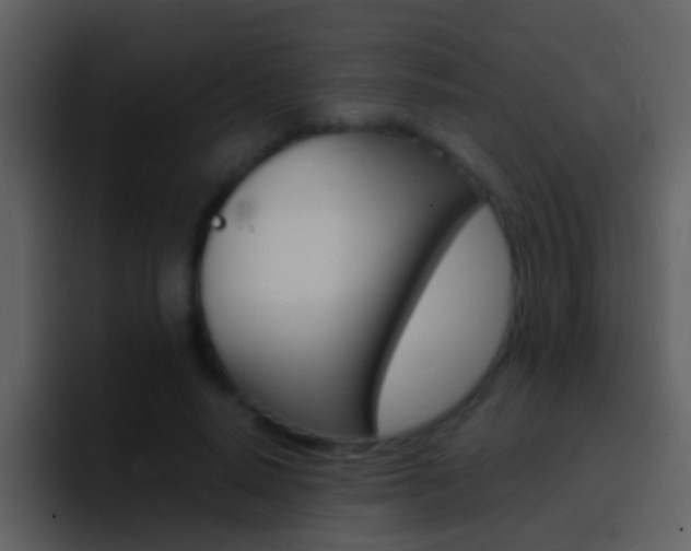 X0000096990640200802080920