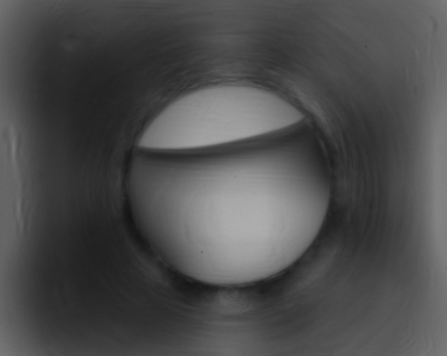 X0000096990641200802080920