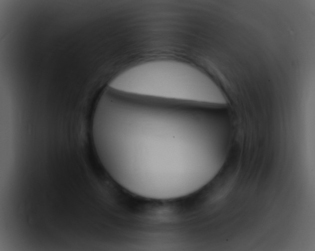 X0000096990643200802080920