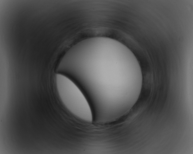 X0000096990644200802080920
