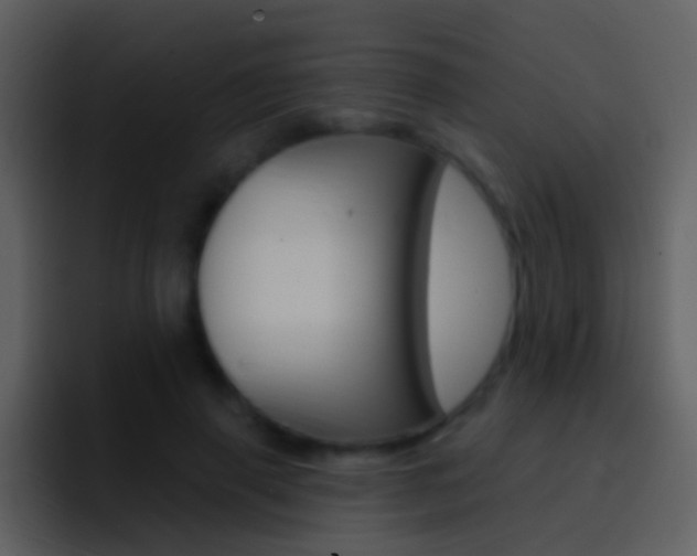 X0000096990645200802080920