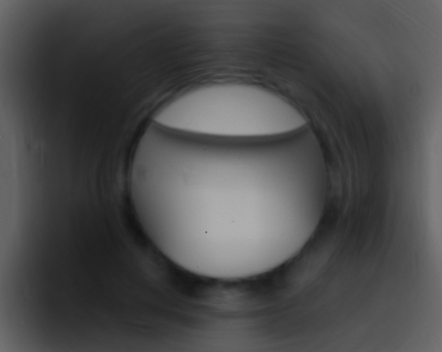 X0000096990648200802080920