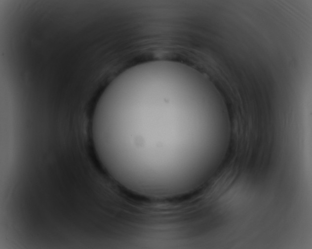 X0000096990650200802080920