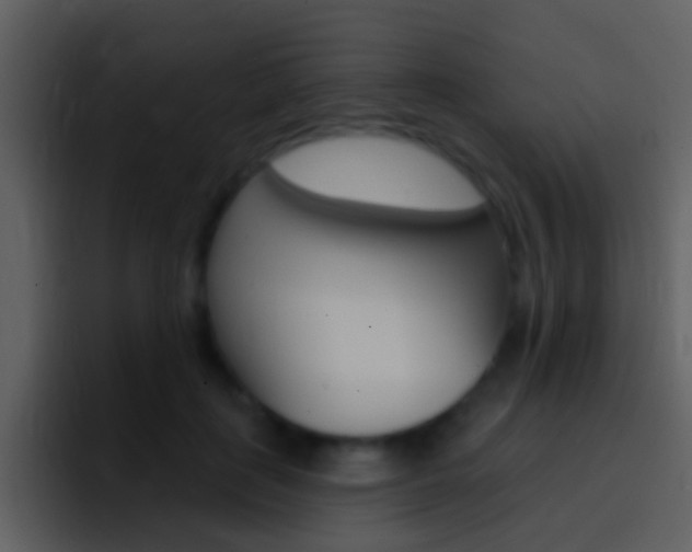 X0000096990651200802080920