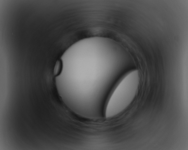 X0000096990653200802080920