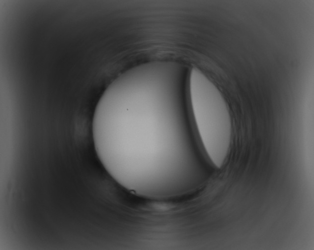 X0000096990654200802080920