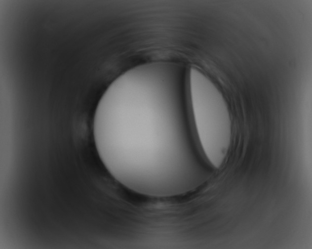 X0000096990655200802080920
