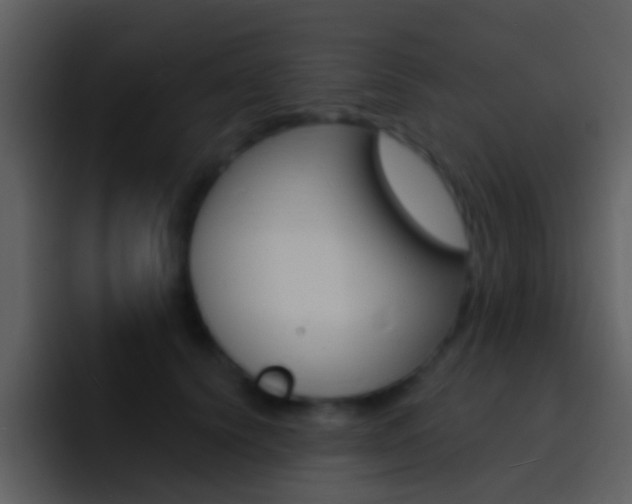 X0000096990656200802080920