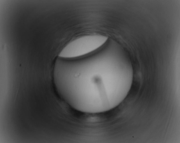 X0000096990658200802080920