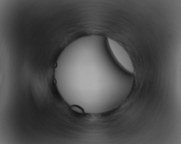 X0000096990660200802080920