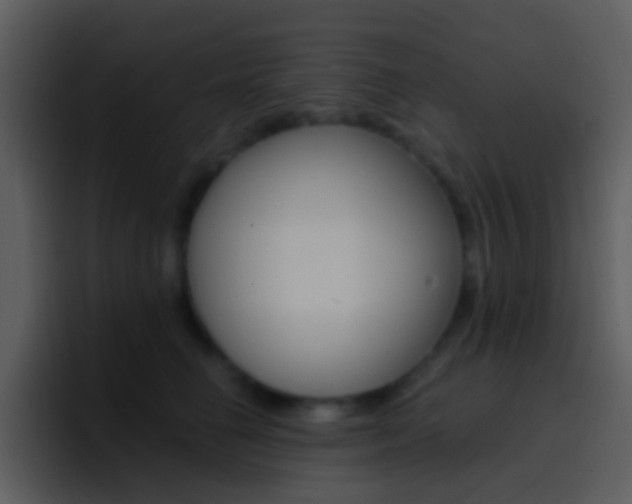 X0000096990662200802080920