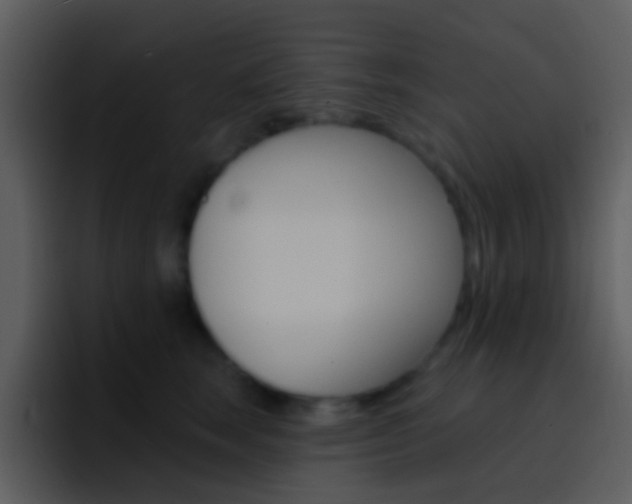 X0000096990663200802080920