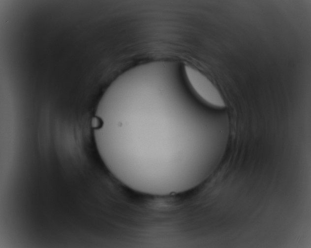 X0000096990664200802080920