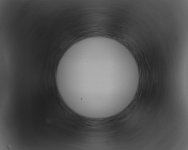 X0000096990665200802080920