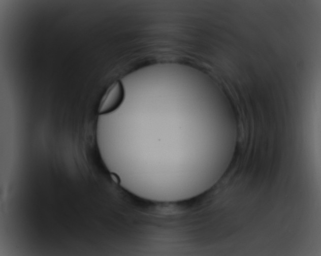 X0000096990666200802080920