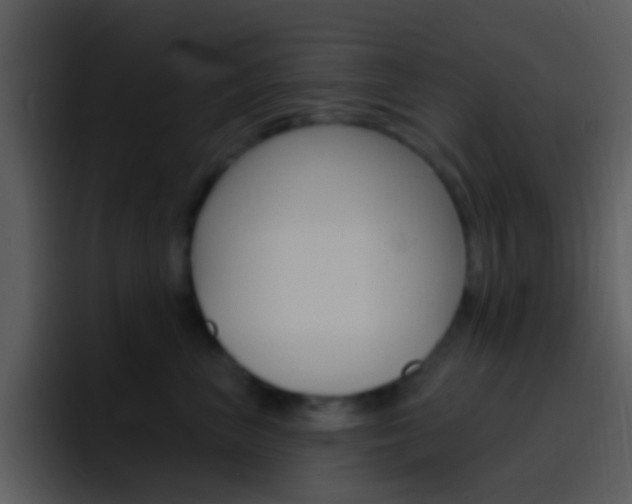 X0000096990667200802080920