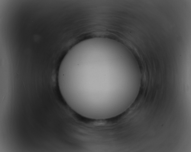 X0000096990668200802080920