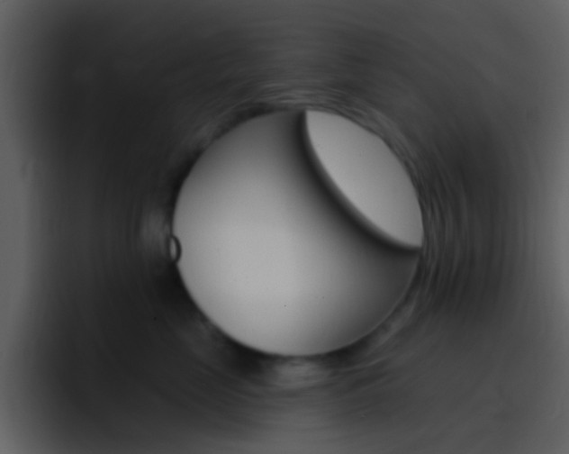 X0000096990669200802080920