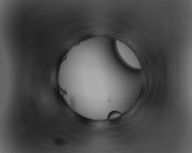 X0000096990670200802080920
