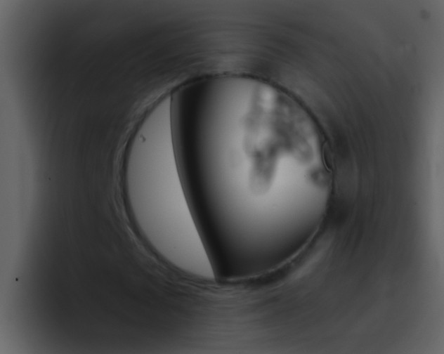 X0000096990673200802080920