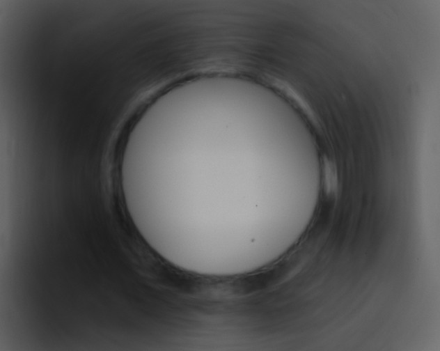 X0000096990675200802080920