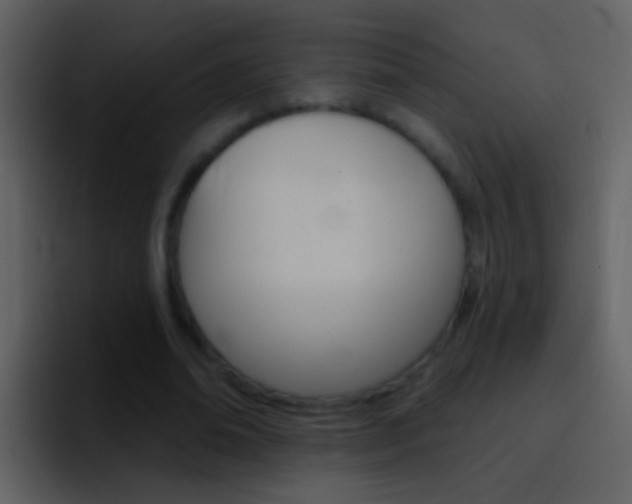 X0000096990678200802080920